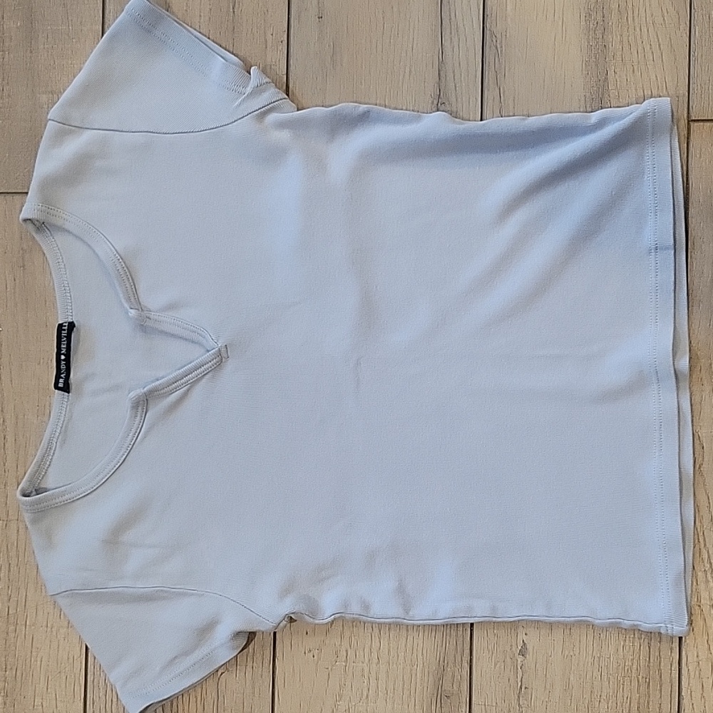 Brandy Melville Blue Crop Top